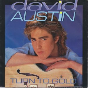 David Austin - Turn To Gold