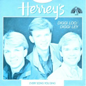 The Herrey's - Diggi Loo / Diggi Ley - Afbeelding 2