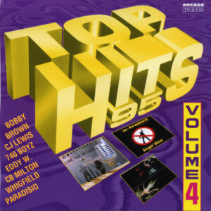 Various - Top Hits 95 Volume 4