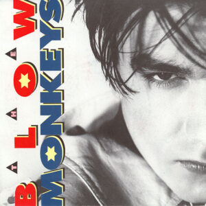 The Blow Monkeys - It Doesn't Have To Be This Way