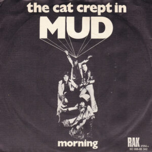 Mud - The Cat Crept In