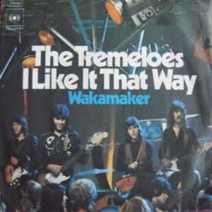 The Tremeloes - I Like It That Way