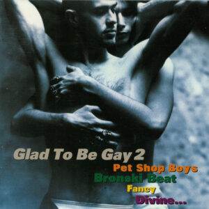 Various - Glad To Be Gay 2
