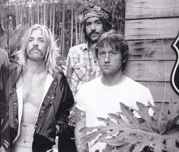 Foo Fighters - The Essential 4 Foo Fighters - The Essential