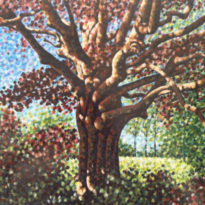 One Step Closer - Songs For The Willow