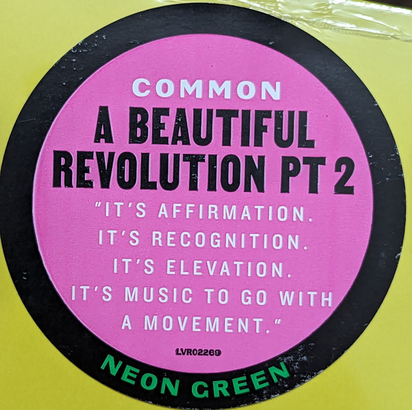 Common - A Beautiful Revolution Pt 2 3 Common - A Beautiful Revolution Pt 2