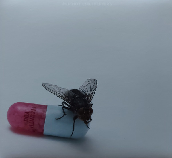 Red Hot Chili Peppers - I'm With You 1 Red Hot Chili Peppers - I'm With You