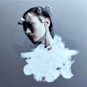 Palisades (4) - Reaching Hypercritical