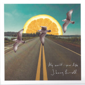 Johnny Borrell - My World, Your Life