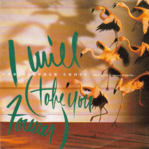 Christopher Cross - I Will (Take You Forever)