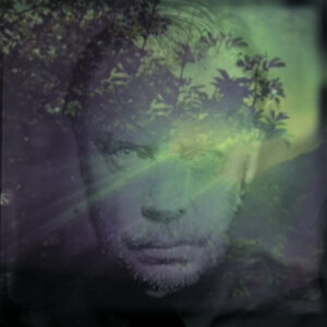 Delaney Davidson - Shining Day