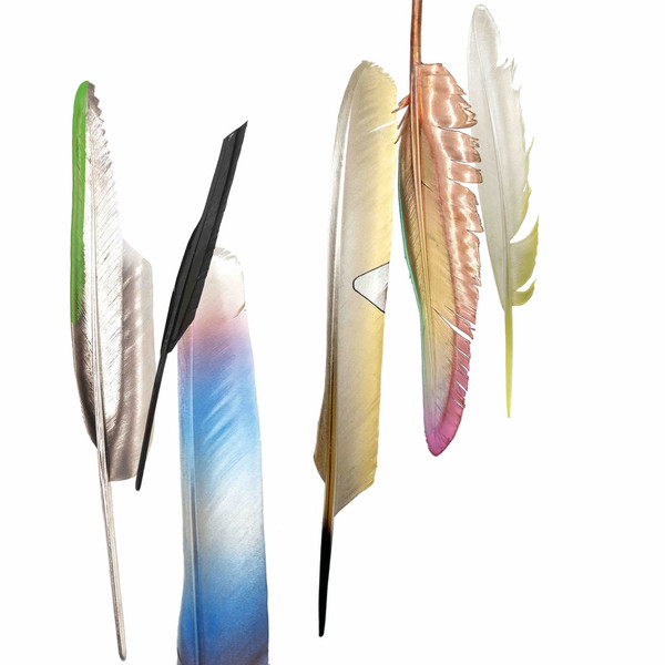 Powell (9) - Spoken By The Other 1 Powell (9) - Spoken By The Other