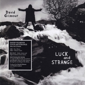 David Gilmour - Luck And Strange