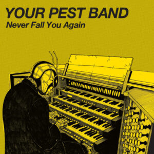Your Pest Band - Never Fall You Again