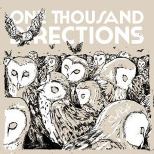 One Thousand Directions - Owl Riot