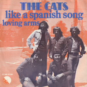 The Cats - Like A Spanish Song