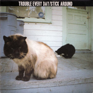 Trouble Every Day - Trouble Every Day/Stick Around