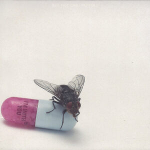 Red Hot Chili Peppers - I'm With You