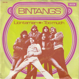 Bintangs - Liontamer / Too Much