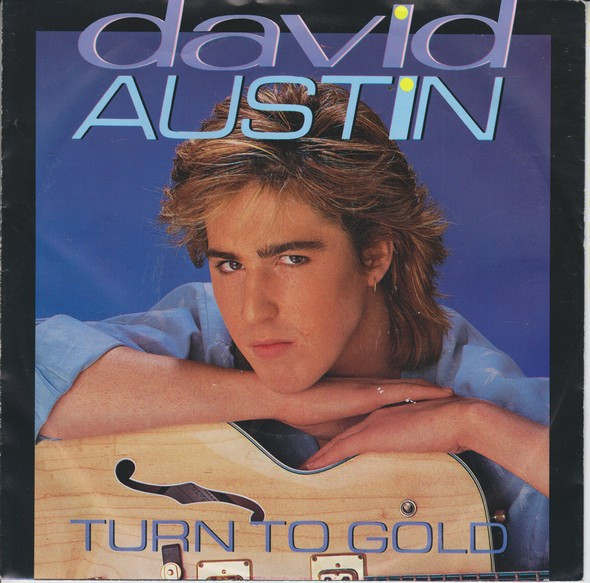 David Austin - Turn To Gold 1 David Austin - Turn To Gold