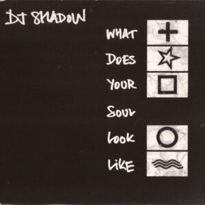 DJ Shadow - What Does Your Soul Look Like