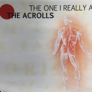 The Acrolls - The One I Really Am