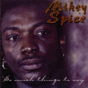 Mikey Spice - So Much Things To Say
