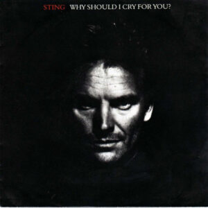 Sting - Why Should I Cry For You?