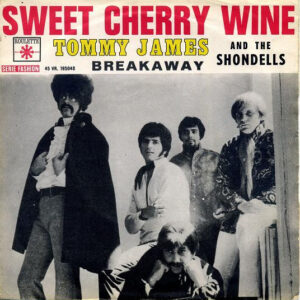 Tommy James & The Shondells - Sweet Cherry Wine