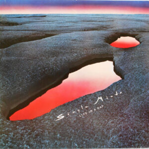 Simple Minds - Life In A Day