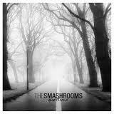 The Smashrooms - Questions
