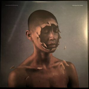 Manchester Orchestra - The Valley Of Vision