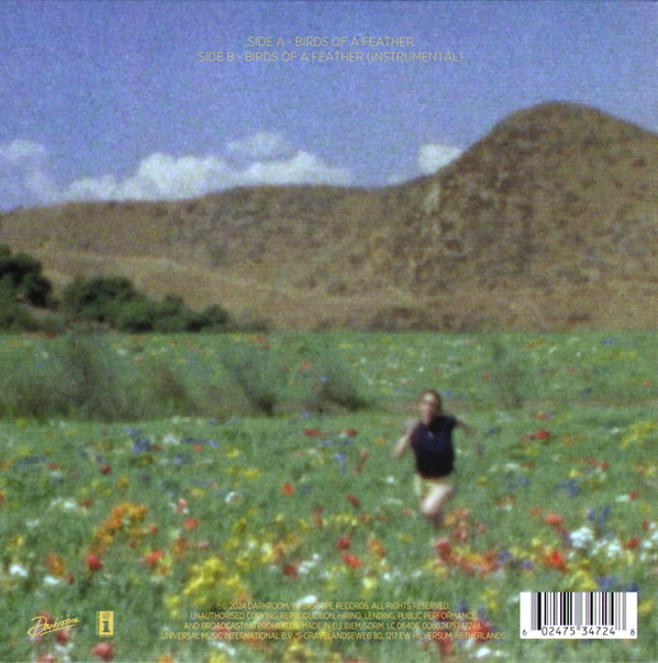 Billie Eilish - Birds Of A Feather 2 Billie Eilish - Birds Of A Feather