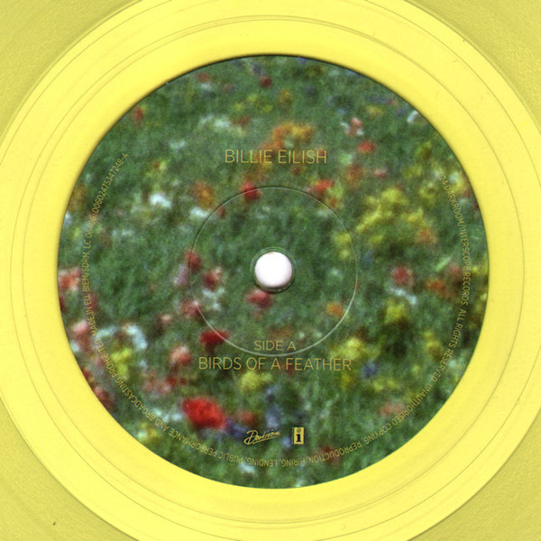 Billie Eilish - Birds Of A Feather 3 Billie Eilish - Birds Of A Feather