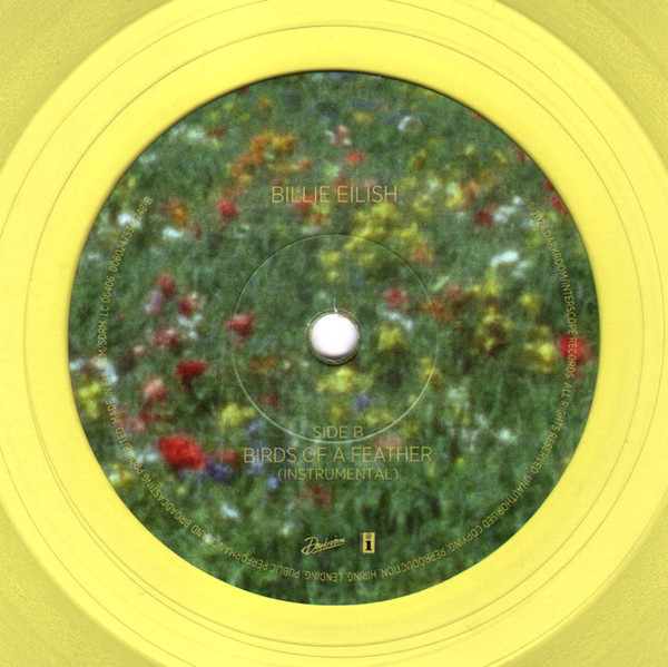 Billie Eilish - Birds Of A Feather 4 Billie Eilish - Birds Of A Feather