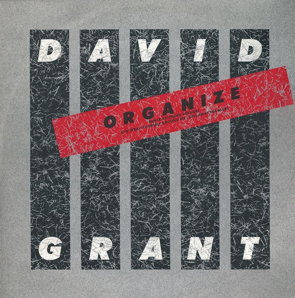 David Grant - Organize 1 David Grant - Organize
