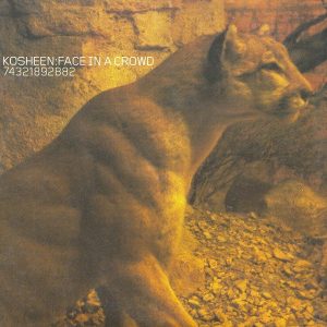 Kosheen - Face In A Crowd
