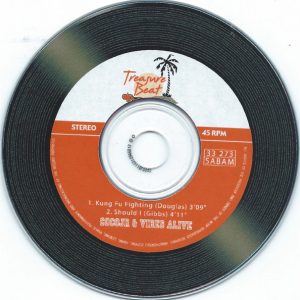 Coco Jr., Vibes Alive (2) - Kung Fu Fighting