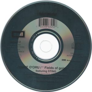 I Muvrini, Sting - Terre D' Oru (Fields Of Gold)
