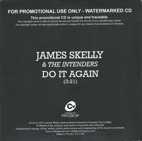 James Skelly & The Intenders - Do It Again 3 James Skelly & The Intenders - Do It Again