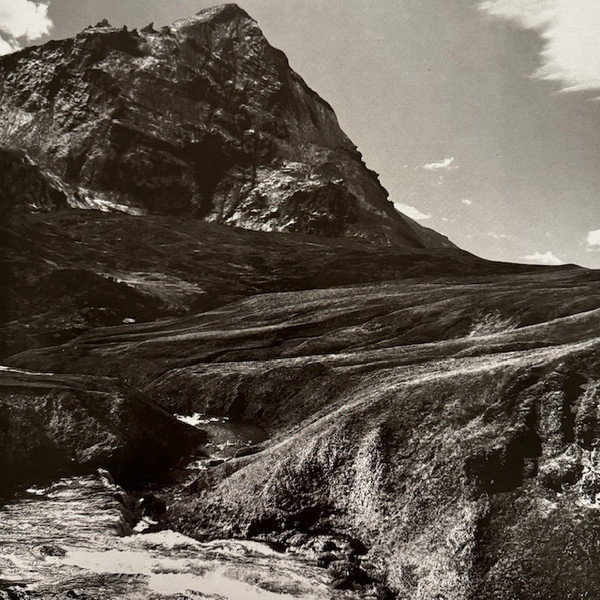 Andrew Bird - Outside Problems 1 Andrew Bird - Outside Problems