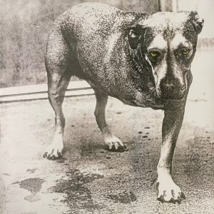 Alice In Chains - Alice In Chains