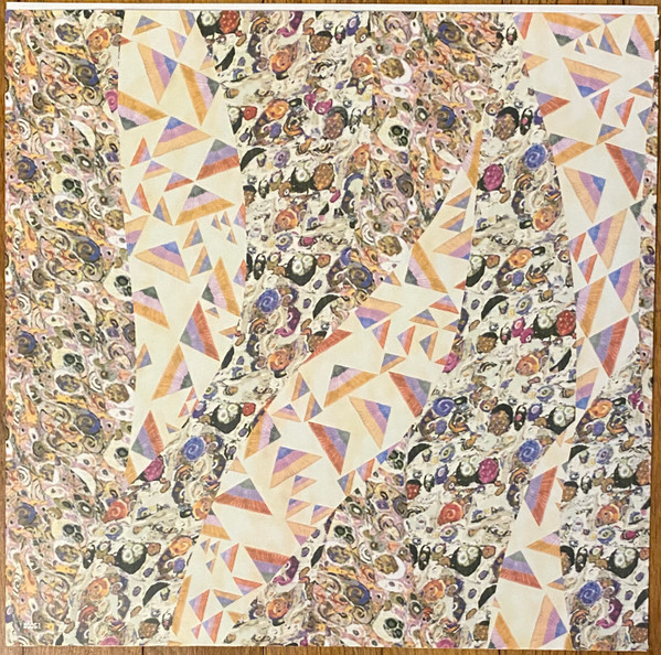 Blonde Redhead - The Shadow Of The Guest 5 Blonde Redhead - The Shadow Of The Guest