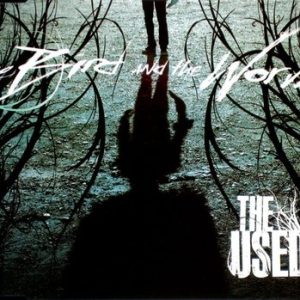 The Used - The Bird And The Worm