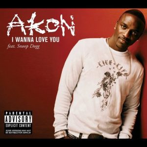 Akon, Snoop Dogg - I Wanna Love You